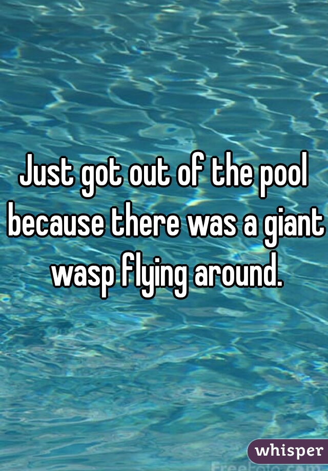 Just got out of the pool because there was a giant wasp flying around.