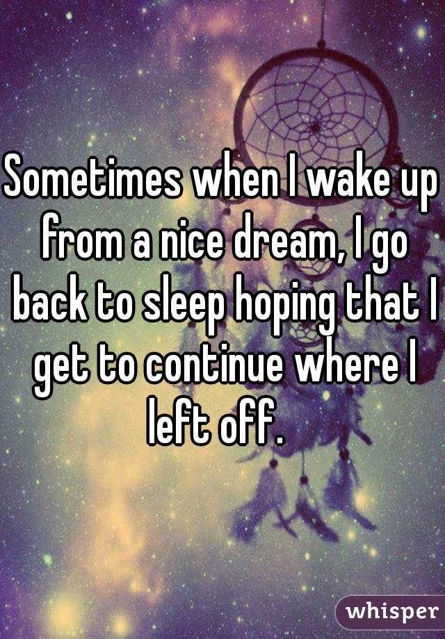 Sometimes When I Wake Up From A Nice Dream I Go Back To Sleep