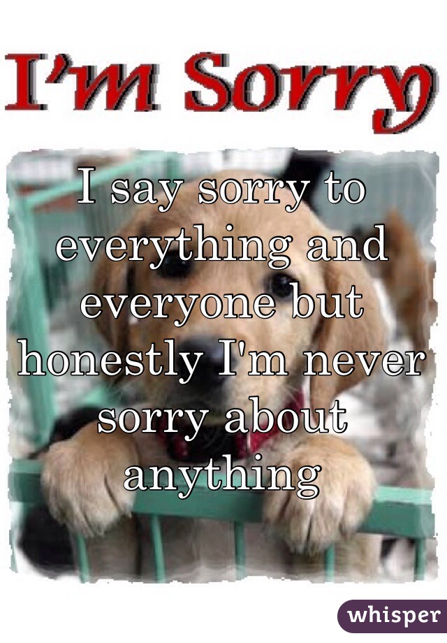 I say sorry to everything and everyone but honestly I'm never sorry about anything 