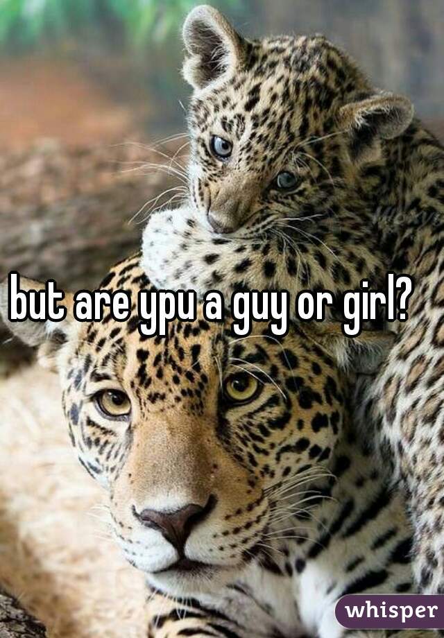 but are ypu a guy or girl?  