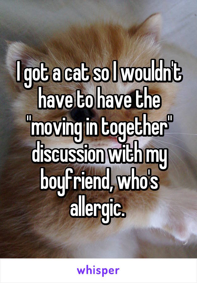 I got a cat so I wouldn't have to have the "moving in together" discussion with my boyfriend, who's allergic. 