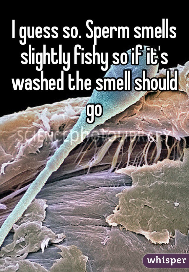 Smell why does fishy sperm smelly odor