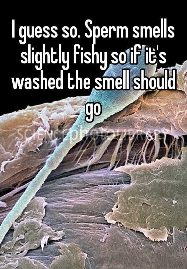 Sperm fishy smell does why What Does