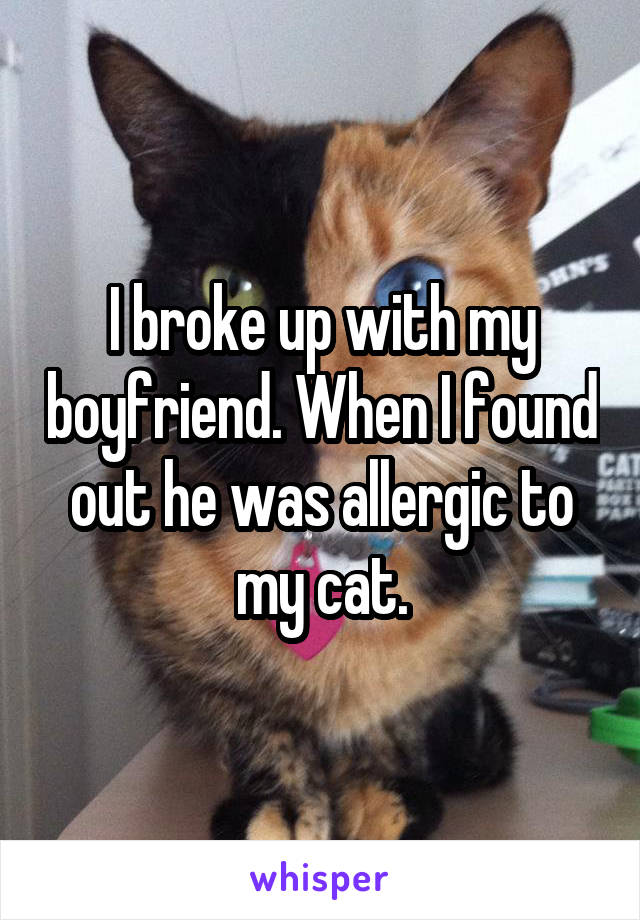 I broke up with my boyfriend. When I found out he was allergic to my cat.