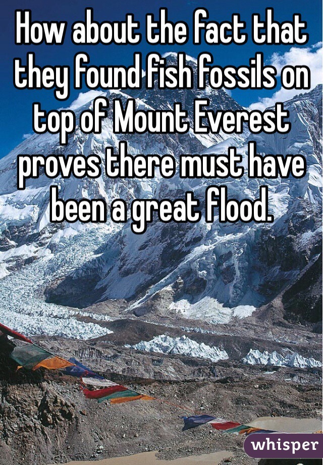 How About The Fact That They Found Fish Fossils On Top Of Mount Everest Proves There