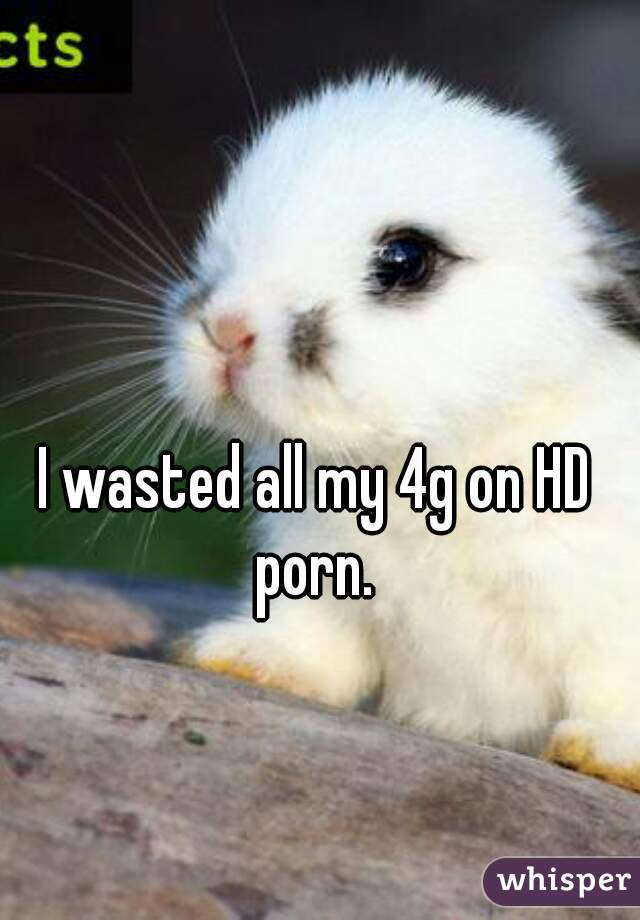 640px x 920px - I wasted all my 4g on HD porn.