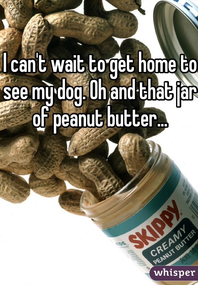 I can't wait to get home to see my dog. Oh and that jar of peanut butter... 