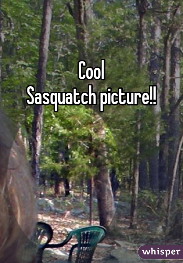 Cool
Sasquatch picture!!