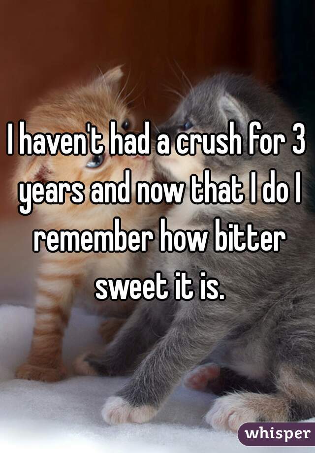 I haven't had a crush for 3 years and now that I do I remember how bitter sweet it is.
