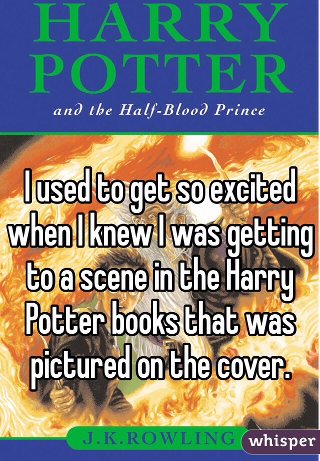 I used to get so excited when I knew I was getting to a scene in the Harry Potter books that was pictured on the cover. 