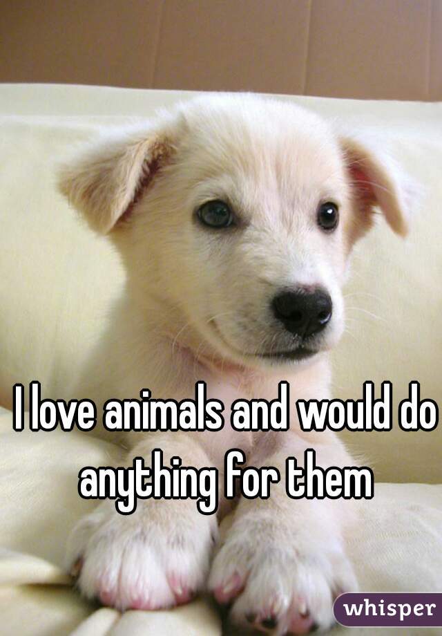I love animals and would do anything for them 
