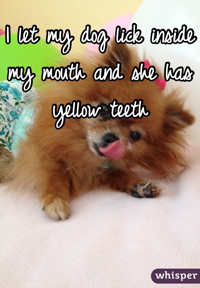 i-let-my-dog-lick-inside-my-mouth-and-she-has-yellow-teeth