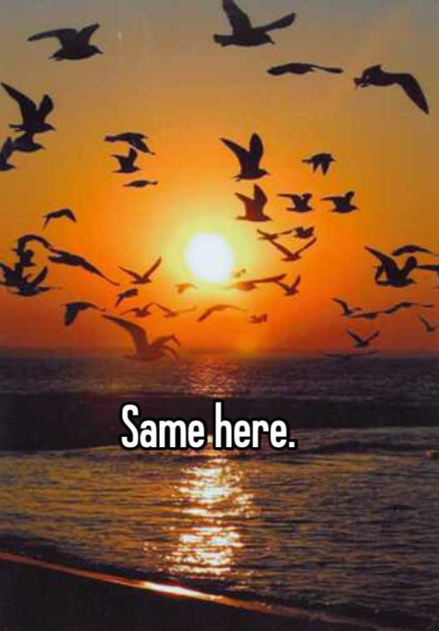 same-here