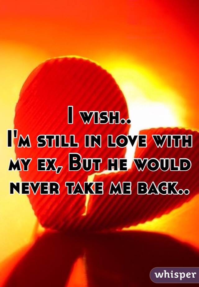I wish..
I'm still in love with my ex, But he would never take me back..