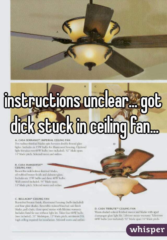 Instructions Unclear Got Dick Stuck In Ceiling Fan