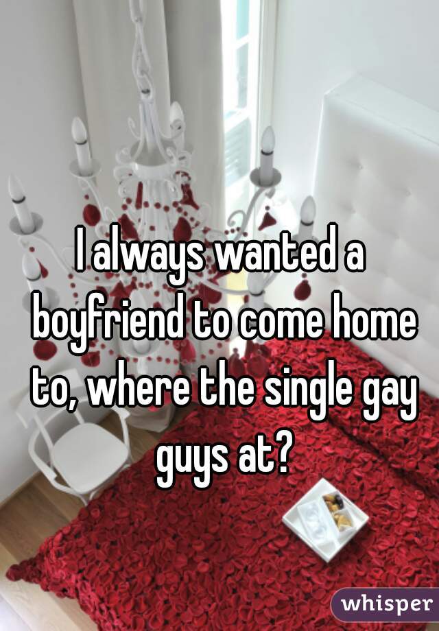 I always wanted a boyfriend to come home to, where the single gay guys at?