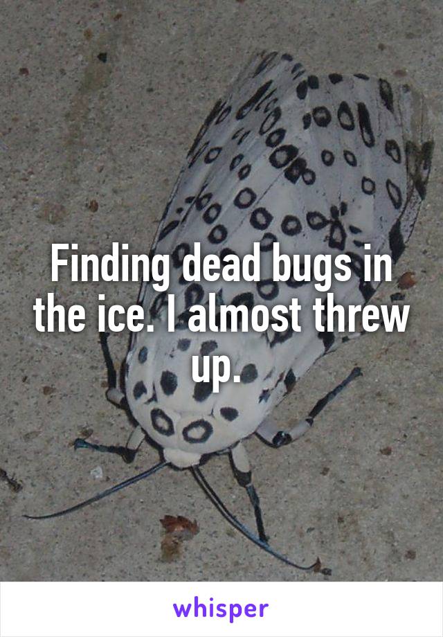 Finding dead bugs in the ice. I almost threw up. 
