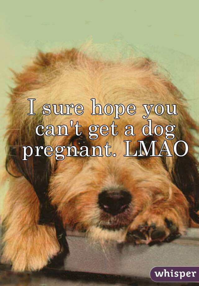 I sure hope you can't get a dog pregnant. LMAO