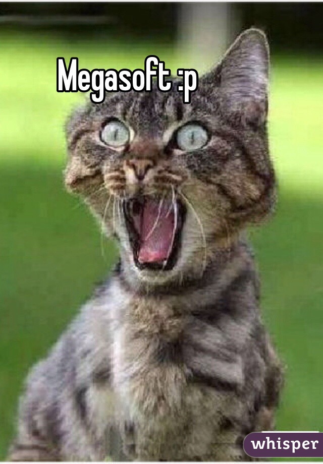 Megasoft :p