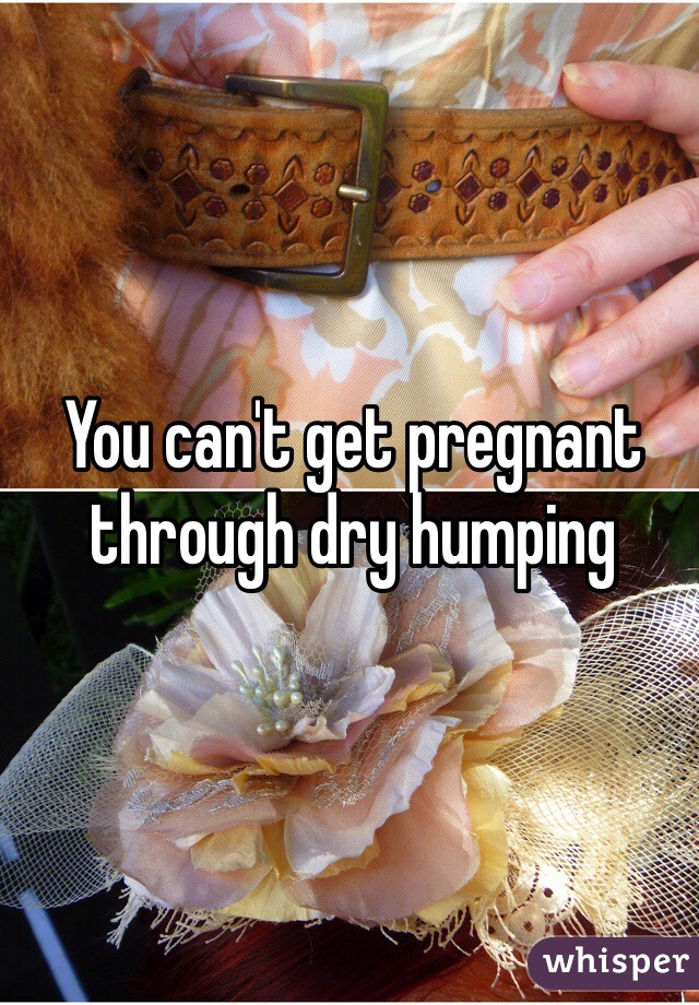 You Can T Get Pregnant Through Dry Humping