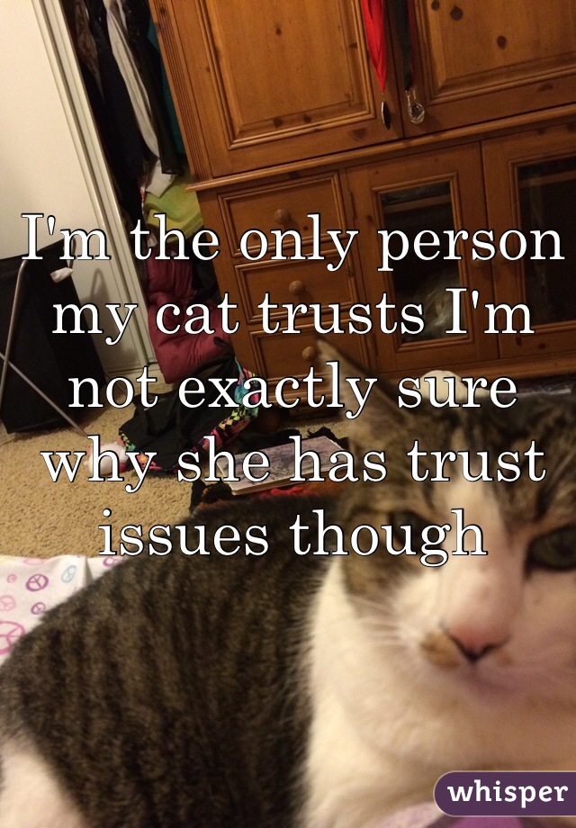 I'm the only person my cat trusts I'm not exactly sure why she has trust issues though 