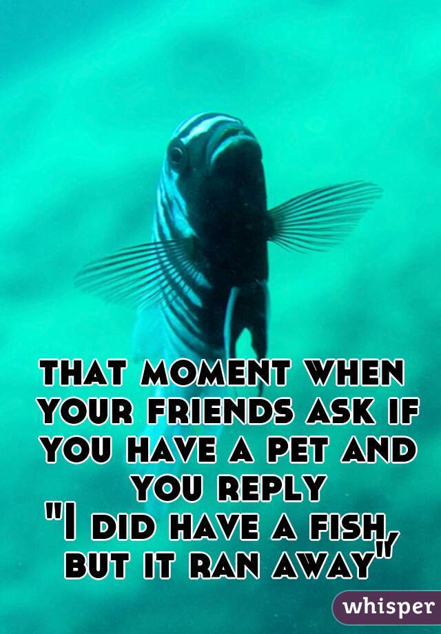 that moment when your friends ask if you have a pet and you reply
"I did have a fish, but it ran away"