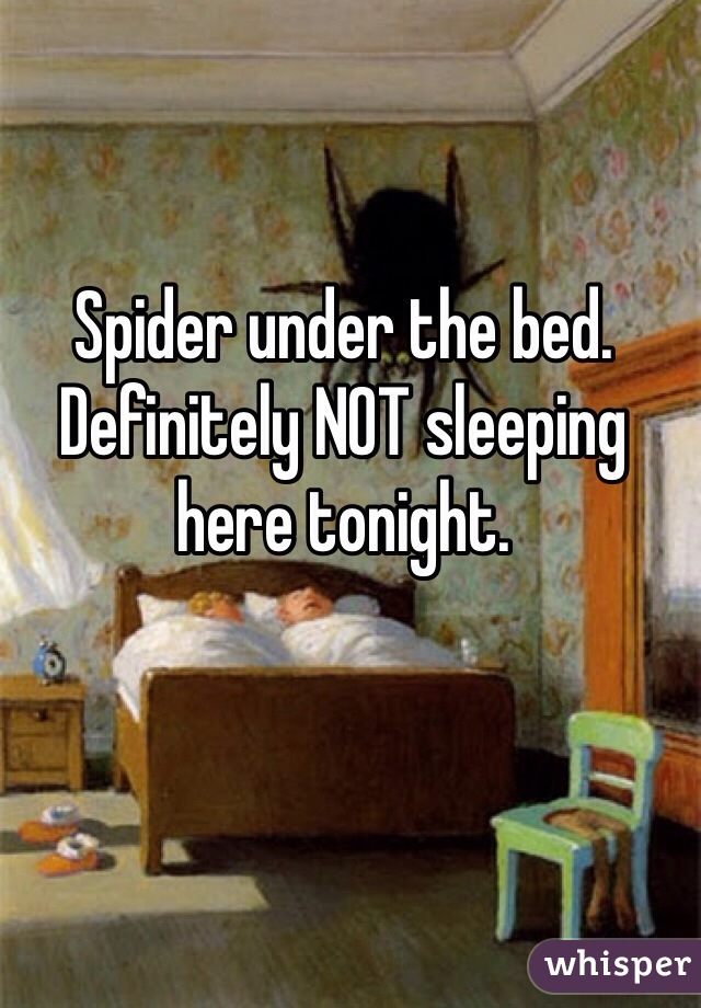Spider under the bed. Definitely NOT sleeping here tonight. 