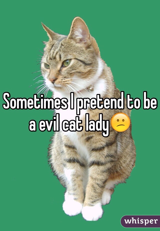 Sometimes I pretend to be a evil cat lady😕