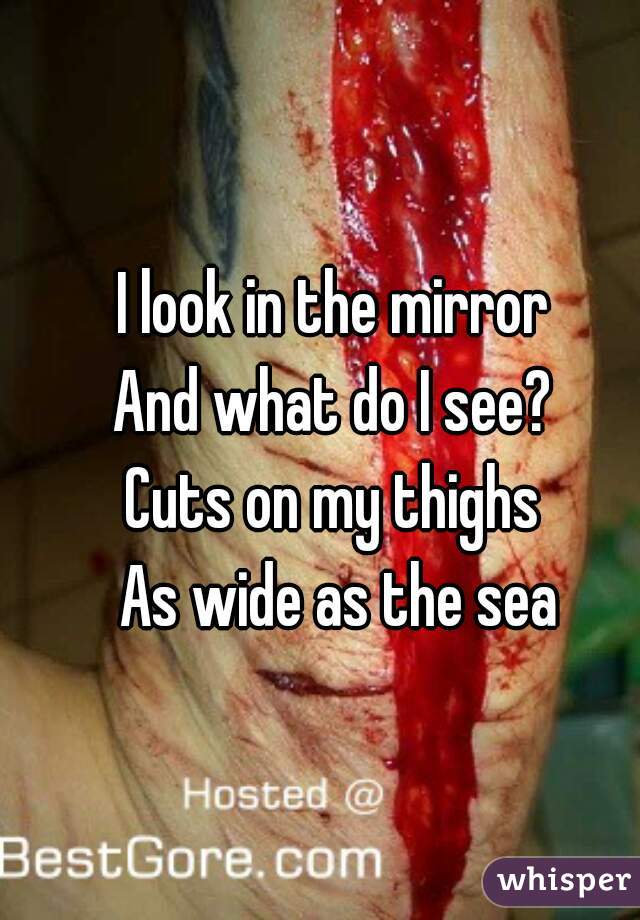 I look in the mirror 
And what do I see? 
Cuts on my thighs 
As wide as the sea