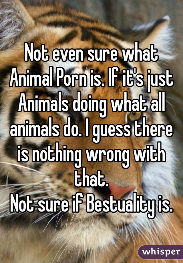 640px x 920px - Not even sure what Animal Porn is. If it's just Animals ...