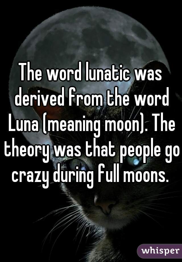 definition lunacy