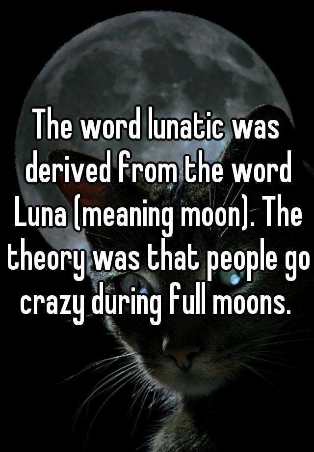 What Is A Another Word For Lunatic