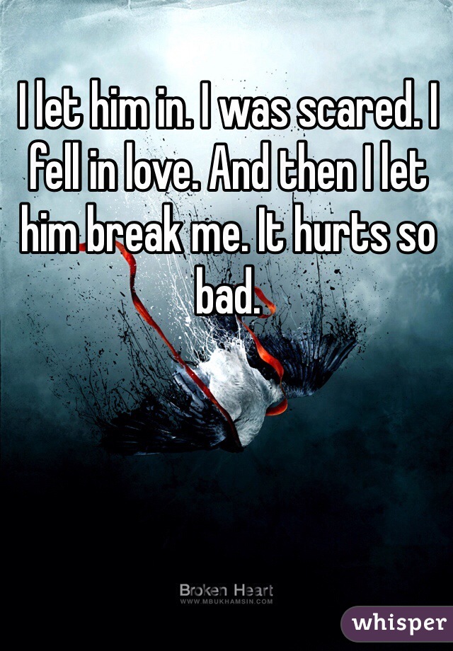 I let him in. I was scared. I fell in love. And then I let him break me. It hurts so bad. 