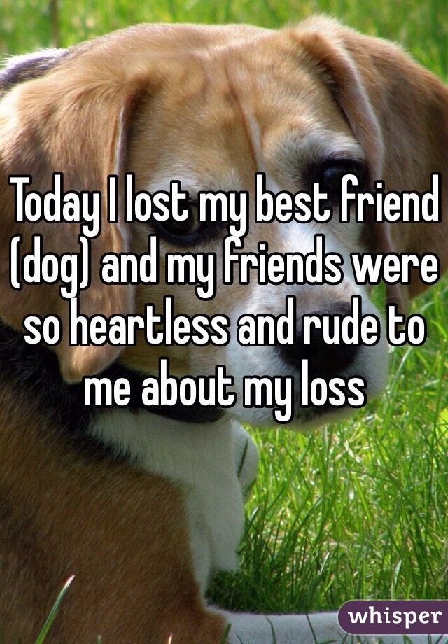 Losing Your Best Friend Dog Quotes