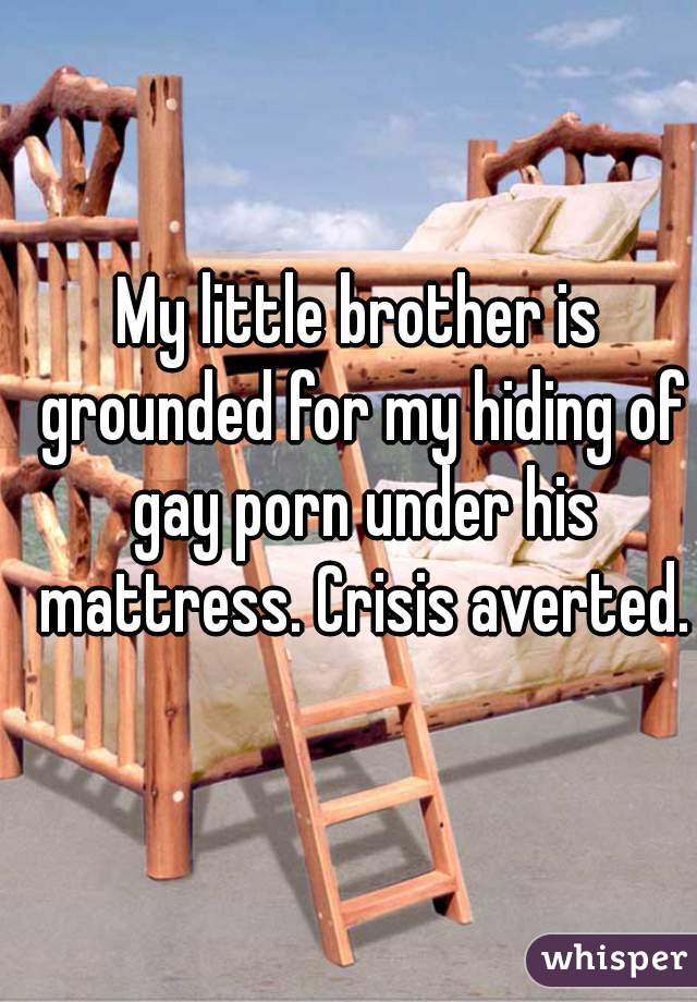 My little brother is grounded for my hiding of gay porn ...