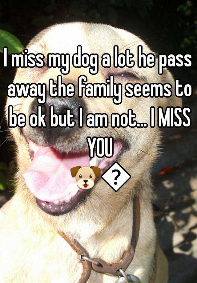 I miss my dog a lot he pass away the family seems to be ok but I am not