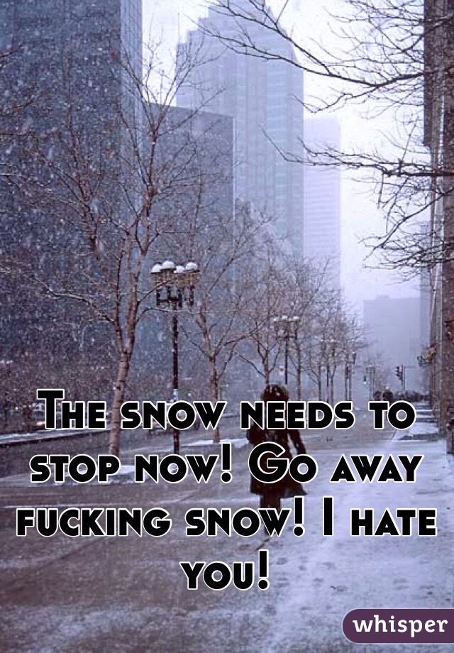 The Snow Needs To Stop Now Go Away Fucking Snow I Hate You