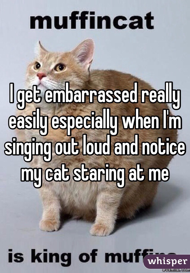 I Get Embarrassed Really Easily Especially When I M Singing Out Loud And Notice My Cat