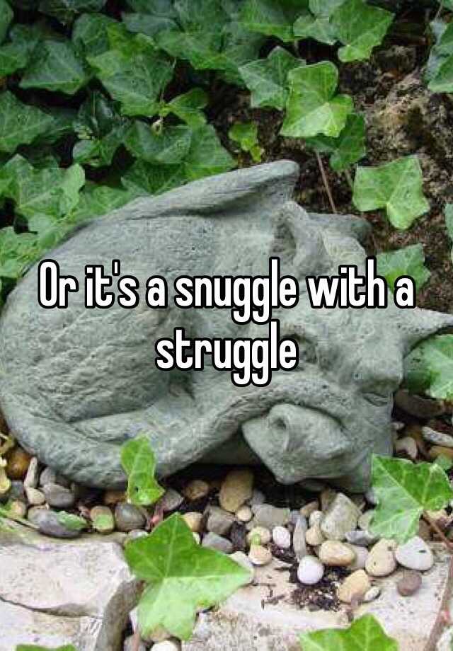 or-it-s-a-snuggle-with-a-struggle