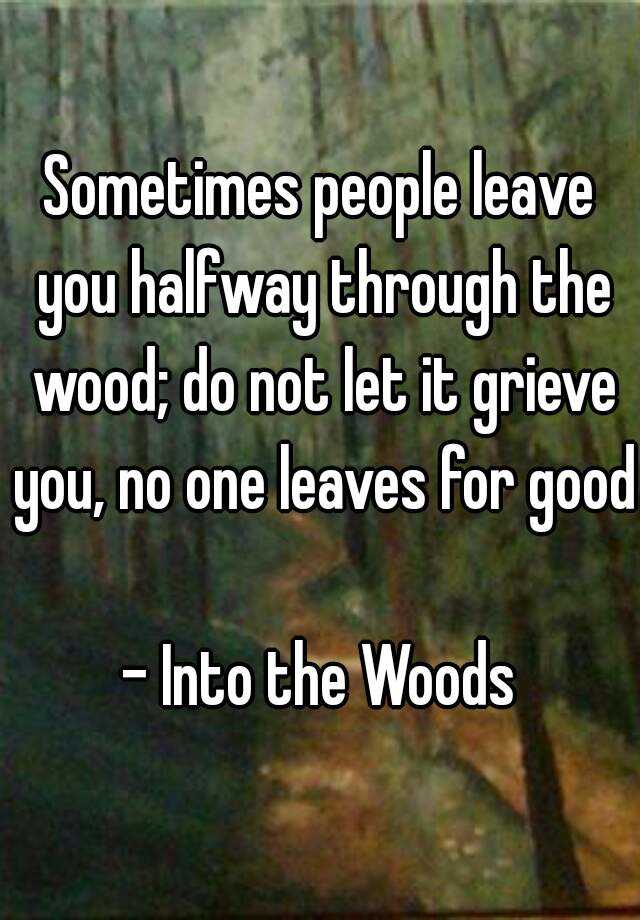 sometimes people leave you hafl way to the woods