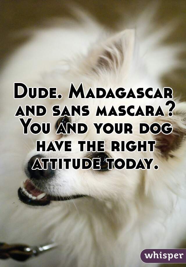 Dude. Madagascar and sans mascara? You and your dog have the right attitude today.