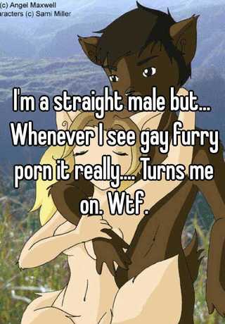 320px x 460px - I'm a straight male but... Whenever I see gay furry porn it ...