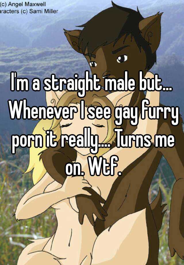 Gay Cartoon Porn Captions - I'm a straight male but... Whenever I see gay furry porn it ...
