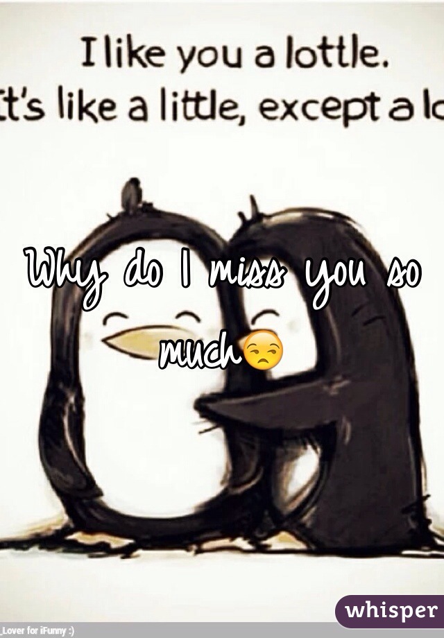 why-do-i-miss-you-so-much