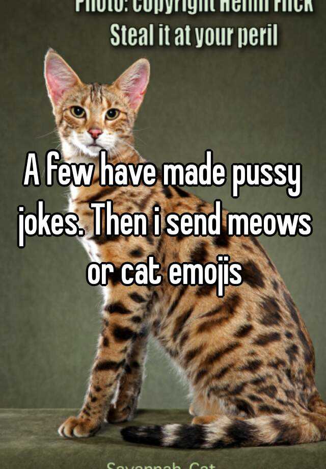 A Few Have Made Pussy Jokes Then I Send Meows Or Cat Emojis