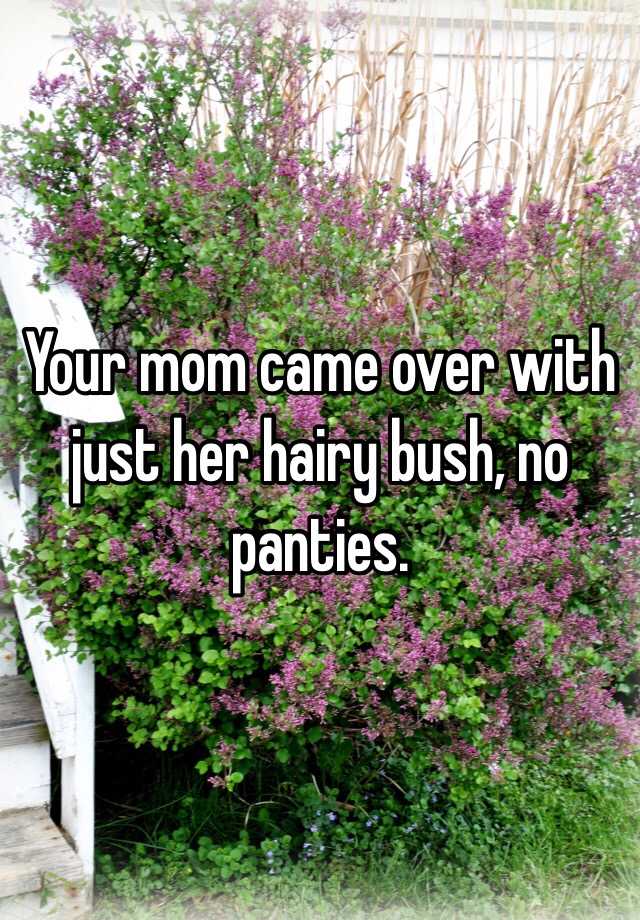 Your Mom Came Over With Just Her Hairy Bush No Panties