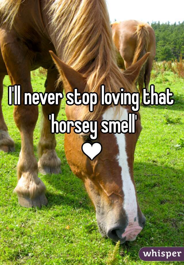 I'll never stop loving that 'horsey smell'
❤