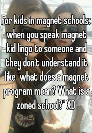 what does magnet program mean