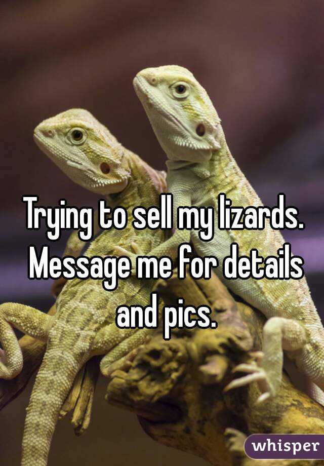 Trying to sell my lizards. Message me for details and pics.
