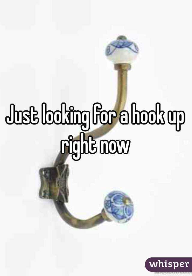 Just looking for a hook up right now 